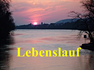 Lebenslauf.JPG